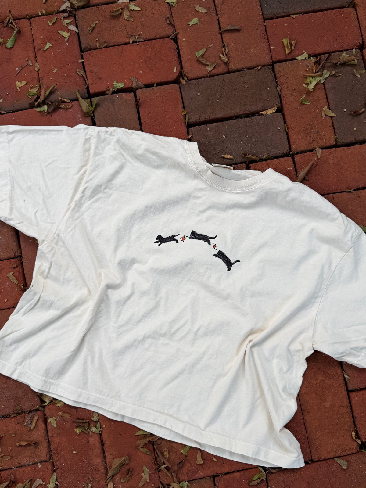 Leap of Faith Tshirt